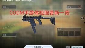 codm手册爆料最新,全新内容与玩法即将上线,敬请期待!
